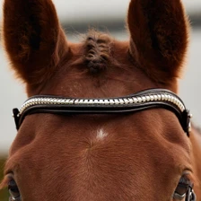 Dublin Clincher Wave Browband - Brown