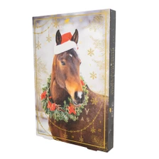 Lincoln Mince Pie Treat Advent Calendar