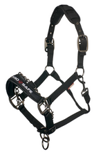 LeMieux ProSafe Headcollar