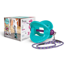 Bizzy Horse Toy in Aqua Blue