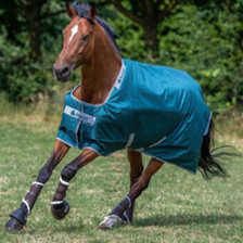 Bucas Atlantic Turnout Rug 50g in Atlantic Green
