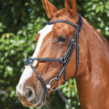 Collegiate ComfiTec Grackle Bridle - Black