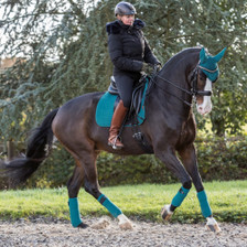 LeMieux Luxury Polo Bandages - Peacock