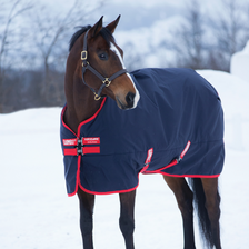 Horseware Rambo 1000D Turnout Rug 200g