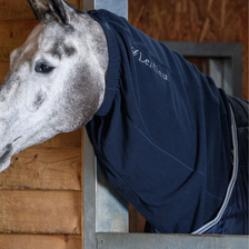 LeMieux Arika Fleece Hood