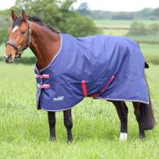 Tempest Original Air Motion Turnout Rug 0g