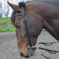 Lunging Adapter- Front