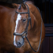 RAPIDA Ergonomic Flash Bridle in Black - Lifestyle