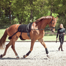 Catago FIR-Tech Training Dressage Saddle Pad