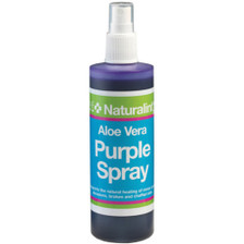 NAF NaturalintX Aloe Vera Purple Spray 240ml
