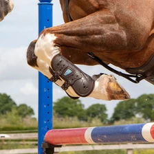 Shires ARMA Carbon Tendon Boots