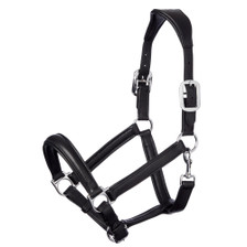 LeMieux Anatomic Headcollar in Black