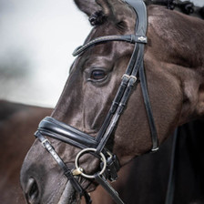 LeMieux Dressage Bridle - Black - Lifestyle