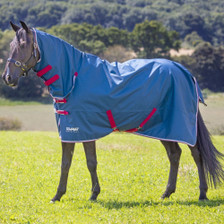 Shires Tempest Original Combo Turnout Rug 0g Teal - Lifestyle