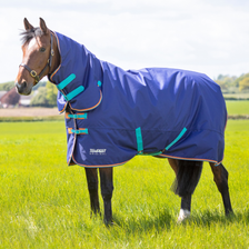 Shires Tempest Original Combo Turnout Rug 100g