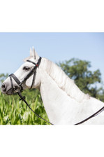 Kieffer Ultrasoft Economy Snaffle Bridle  in Black - on horse