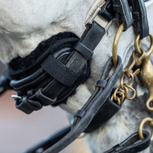 LeMieux Faux Lambswool Chin/Noseband Guard - Black - Lifestyle