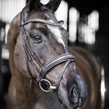 LeMieux Arika Dressage Bridle - Brown - Lifestyle