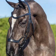 LeMieux Arika Drop Bridle - Black/Silver - Lifestyle