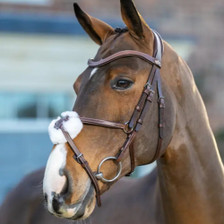 LeMieux Arika Grackle Bridle - Havana/Silver - Lifestyle