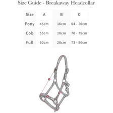 LeMieux Break Away Headcollar