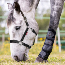 LeMieux Break Away Headcollar - Black - Lifestyle