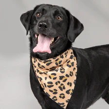 Digby & Fox Bandana - Leopard
