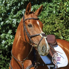 Collegiate ComfiTec Grackle Bridle