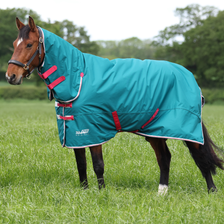 Tempest Original Air Motion Combo Rug 0g - Green