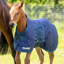 Tempest Original Foal Turnout Rug 200g - Navy