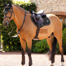 LeMieux Puissance Suede Close Contact Saddle Pad - Black - Lifestyle