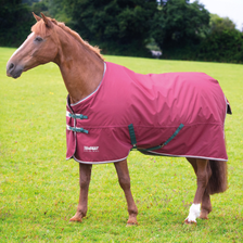 Tempest Original Turnout Rug 200g - Maroon