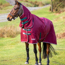 Tempest Original Combo Turnout Rug 200g - Maroon