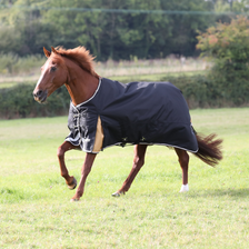 Highlander Plus Turnout Rug 200g - Black