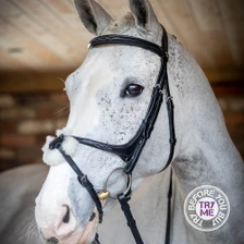 LeMieux Grackle Bridle