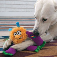 KONG Sneakerz Knots Dog Toy - lifestyle