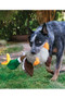 KONG Shakers Honkers Duck Dog Toy - lifestyle
