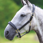 Velociti GARA Leather Travel Headcollar - Black