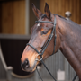 Velociti GARA Raised Cavesson Bridle - Black