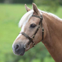 Velociti GARA Plain Inhand Bridle - Havana