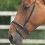 Velociti GARA Flash Noseband - Black