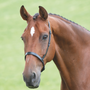 Velociti GARA Cavesson Noseband - Black