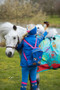 Hy Equestrian Thelwell Ponies Tarquin the Pony - lifestyle