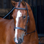 Velociti RAPIDA Hunter Cavesson Bridle - Havana