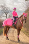 Hy Equestrian Reflector Fleece Exercise Sheet in Pink - lifestyle