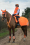 Hy Equestrian Reflector Fleece Exercise Sheet in Orange - lifestyle