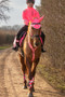 Hy Equestrian Reflector Ear Bonnet in Pink - lifestyle