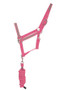 Hy Equestrian Reflector Headcollar and Leadrope in Pink