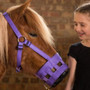 Hy Equestrian Muzzle in Purple - lifestyle