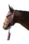 Hy Equestrian Tartan Headcollar and Leadrope in Raspberry/White/Navy